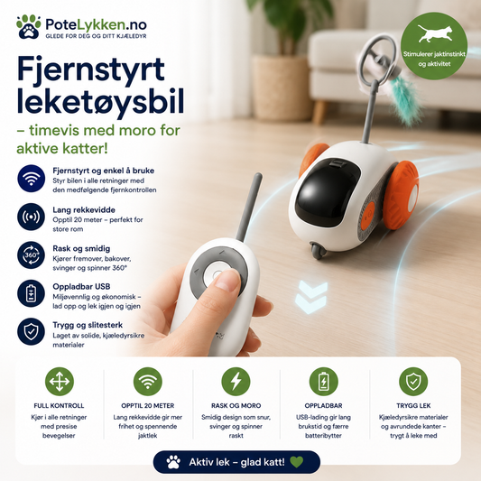 Interaktiv Fjernstyrt Katteleke