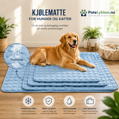 Kjølematte for varme sommerdager- til hund og Katt