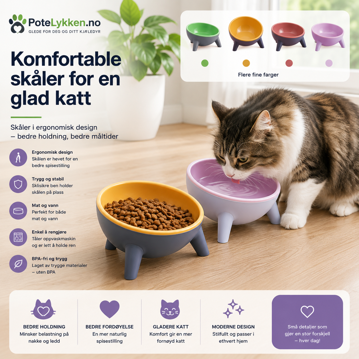 Ergonomisk Matskål for Hund og Katt