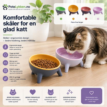 Ergonomisk Matskål for Hund og Katt