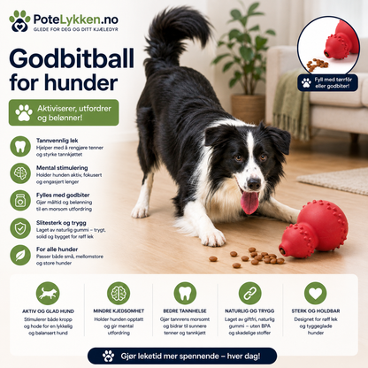 Slitesterk Naturgummileke for Hund