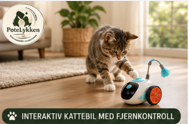 Interaktiv Fjernstyrt Katteleke