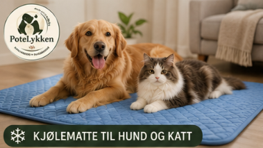 Kjølematte for varme sommerdager- til hund og Katt