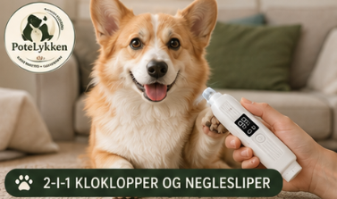 Elektrisk Klotrimmer for Hund