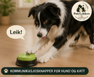 Kommunikasjons knapper for Hund og Katt