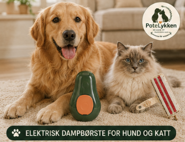 Dampbørste for Hund og Katt – Selvrensende Massasjebørste