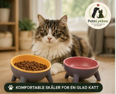 Ergonomisk Matskål for Hund og Katt