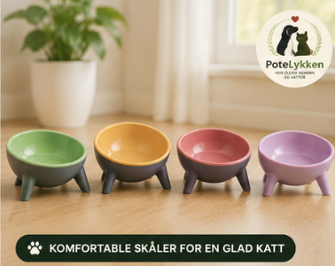 Ergonomisk Matskål for Hund og Katt