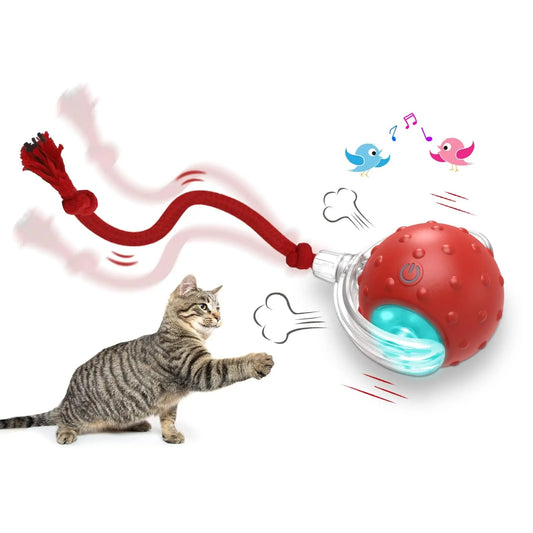 Katteball-Hold katten aktiv og underholdt i timevis